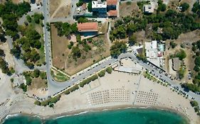 Elegant Beach Hotel